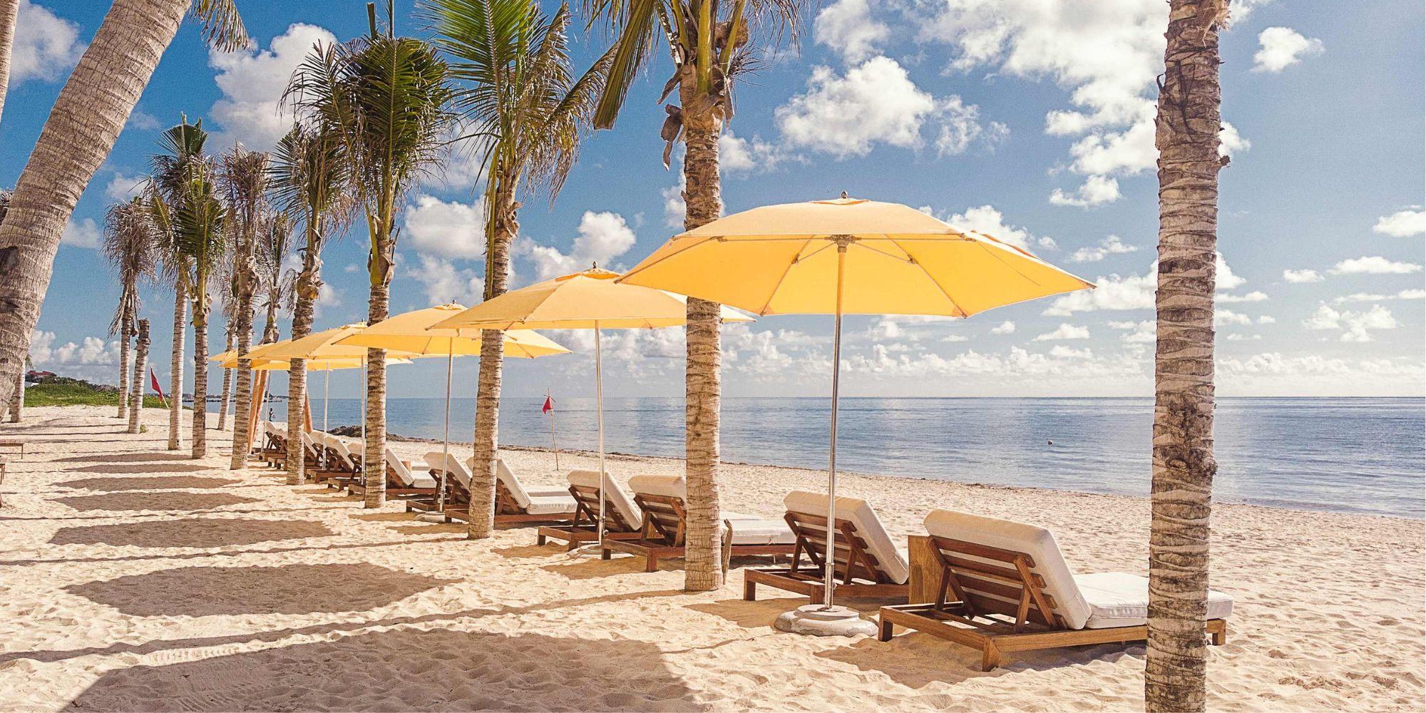 Meilleures offres et promotions - background banner