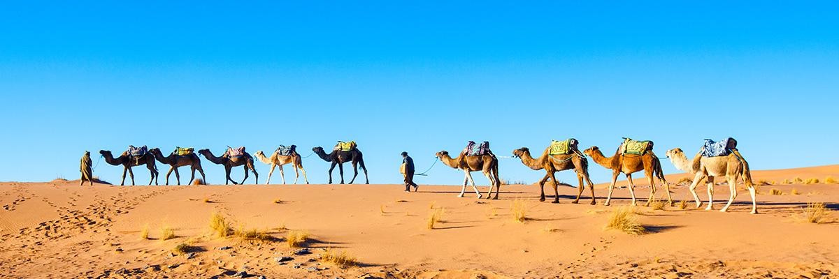 MOROCCO: Deluxe Moroccan Odyssey |  10 Days - background banner