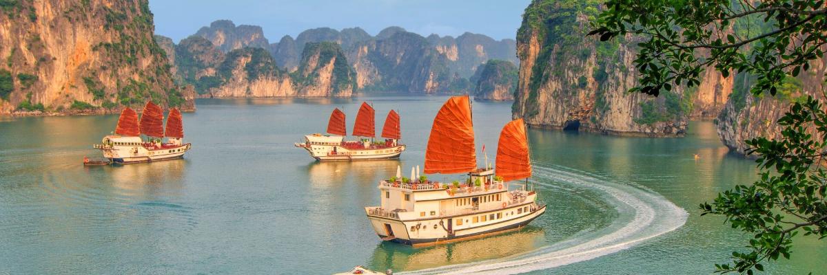 Découvrez la culture du Viêt Nam avec Luxury Gold